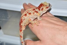 DSC_0392.jpg