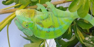 20171210_095334.jpg