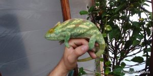20171118_173037.jpg