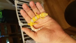 20180808_170911.jpg