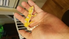20180808_170903.jpg