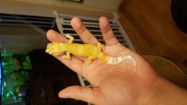 20180808_171119.jpg