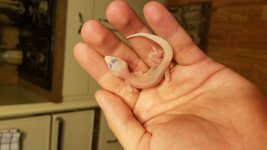 20180808_174338.jpg
