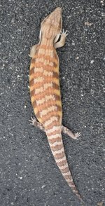20180717_105135.jpg