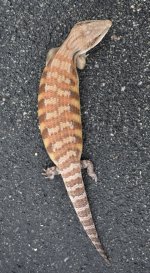 20180717_105148.jpg