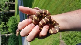 20180607_184658.jpg