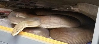 20171104_222221.jpg