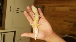 20180808_174812.jpg