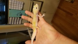 20180808_174801.jpg