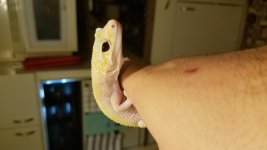 20180808_174602.jpg