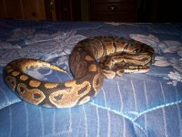 100_0182.jpg