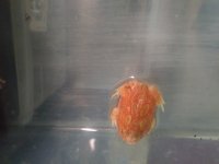 20180322_165222.jpg
