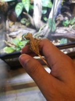 Resized_20171023_213458.jpg