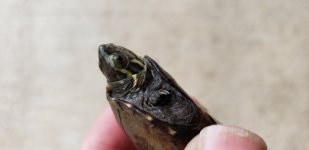 20180508_160847.jpg