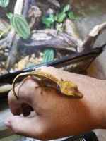 Resized_20171023_213852.jpg