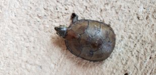 20180508_160837.jpg