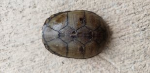 20180508_160819.jpg