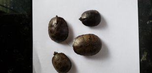 20180508_160547.jpg