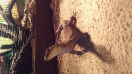 20180406_161918.jpg