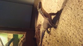 20180406_161939.jpg