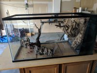 IMG_20180414_151008.jpg