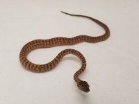 20180717_143300_1024x1024@2x.jpg