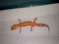 IMG_20180806_201021.jpg