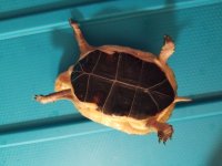 20180302_164644.jpg
