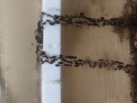 20180717_162157.jpg