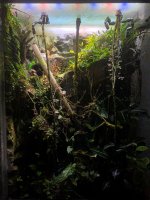 vivarium-1.jpg