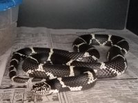 20180314_163447.jpg