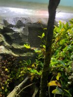 vivarium-5.jpg