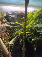 vivarium-6.jpg