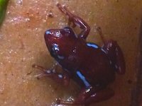 IMG_5259.JPG