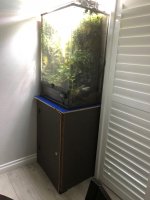 vivarium-8.jpg