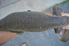 DSC_0403.jpg