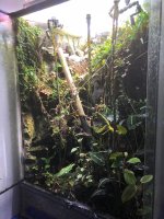 vivarium-3.jpg