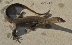 DSC_7648.jpg