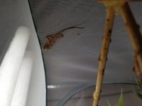 20180803_192415.jpg