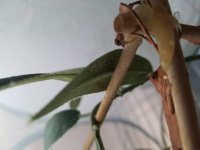 20180803_192448.jpg