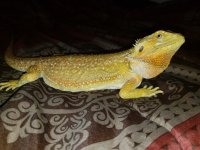 20180524_194347[2].jpg