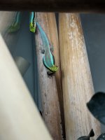 MVIMG_20180325_152022.jpg