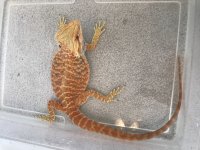 8B64A1C6-7CAB-4D20-BCA8-DE89D8AA6A65.jpg