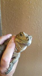 Resized_20180608_084759.jpg