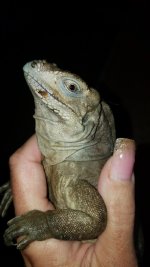 20180608_084654_1528473038859.jpg