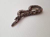 20180423_165717.jpg