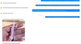 Message 3.jpg