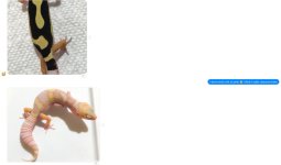 message 4.jpg