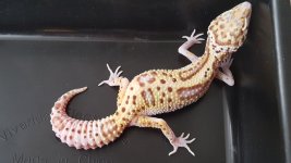 20180427_104125.jpg