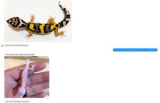 Message 12.jpg